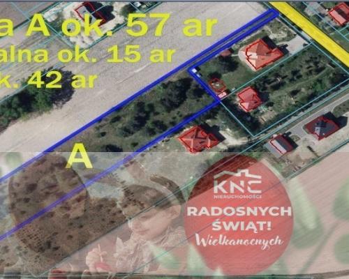 Duża działka 0,6 ha rolno budowlana Wola Lisowska