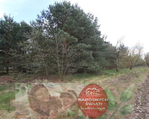 Duża działka 0,6 ha rolno budowlana Wola Lisowska