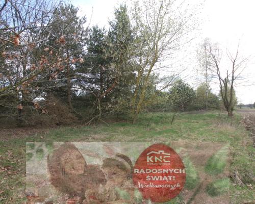 Duża działka 0,6 ha rolno budowlana Wola Lisowska