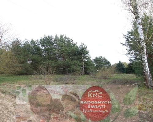 Duża działka 0,6 ha rolno budowlana Wola Lisowska