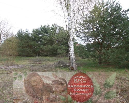 Duża działka 0,6 ha rolno budowlana Wola Lisowska