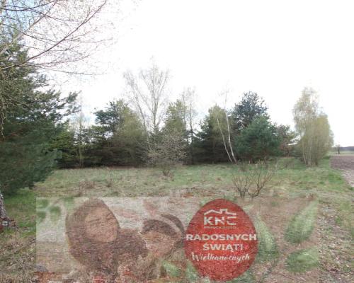 Duża działka 0,6 ha rolno budowlana Wola Lisowska