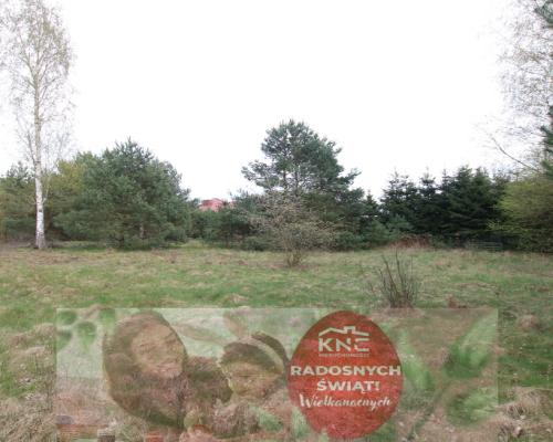 Duża działka 0,6 ha rolno budowlana Wola Lisowska