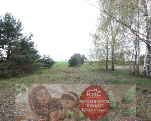 Duża działka 0,6 ha rolno budowlana Wola Lisowska