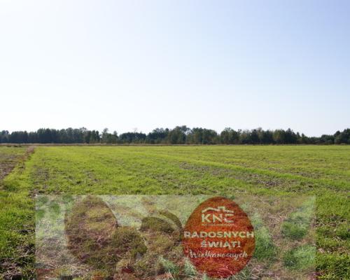 Duża działka nad jeziorem Krasne pod inwestycję