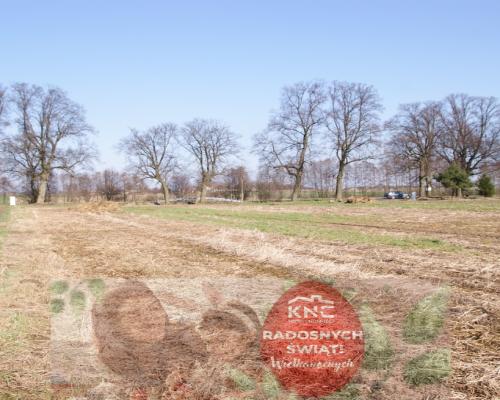 Działka budowlana Stoczek Kolonia 18ar lub więcej