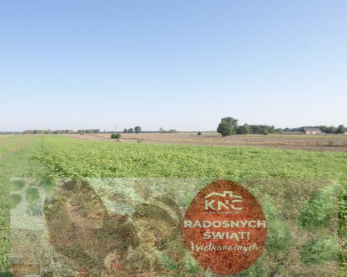 Działka rolno budowlana 96a Rudka Gołębska -asfalt