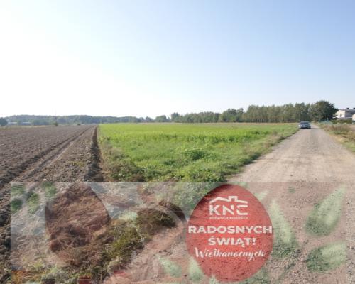 Działka rolno budowlana 96a Rudka Gołębska -asfalt