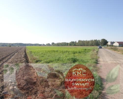 Działka rolno budowlana 96a Rudka Gołębska -asfalt
