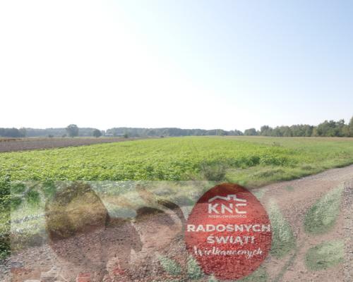Działka rolno budowlana 96a Rudka Gołębska -asfalt