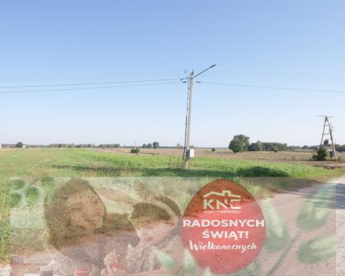 Działka rolno budowlana 96a Rudka Gołębska -asfalt