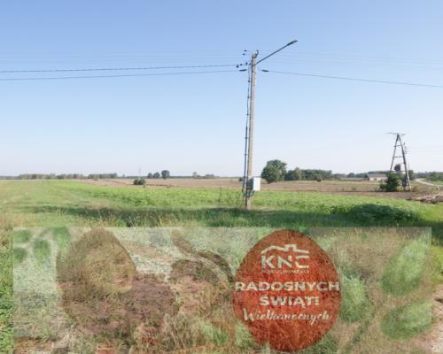 Działka rolno budowlana 96a Rudka Gołębska -asfalt