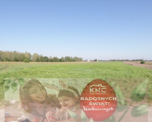 Działka rolno budowlana 96a Rudka Gołębska -asfalt