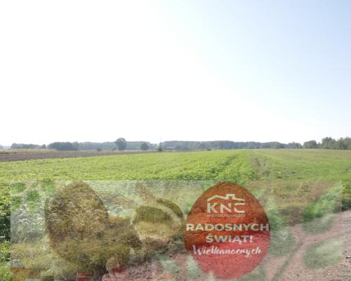 Działka rolno budowlana 96a Rudka Gołębska -asfalt