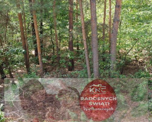 Działka 800 m2 w Woli Chodkowskiej Warszawa 85 km.