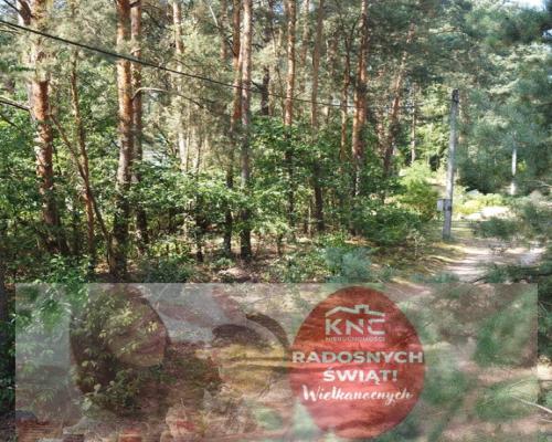 Działka 800 m2 w Woli Chodkowskiej Warszawa 85 km.