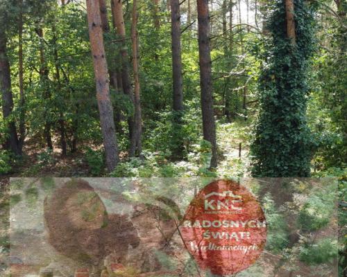 Działka 800 m2 w Woli Chodkowskiej Warszawa 85 km.