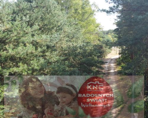 Działka 800 m2 w Woli Chodkowskiej Warszawa 85 km.