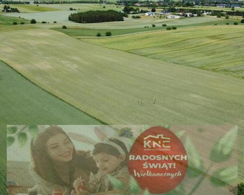 Snopków, 2ha,zmiana MPZP w trakcie