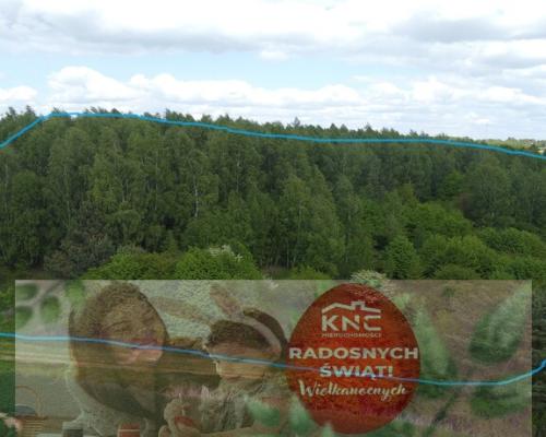 Działka 2,15 ha z potencjałem koło Nałęczowa.