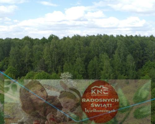 Działka 2,15 ha z potencjałem koło Nałęczowa.