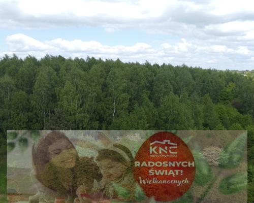 Działka 2,15 ha z potencjałem koło Nałęczowa.