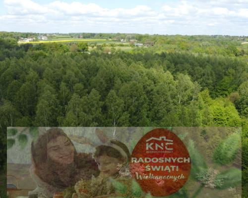 Działka 2,15 ha z potencjałem koło Nałęczowa.