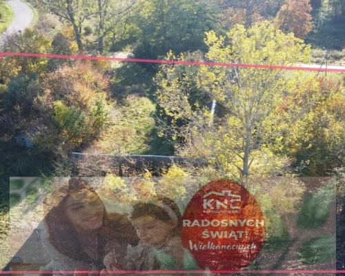 Siedlisko (działka 3623 m2) Przyłęk pow. Zwoleń.