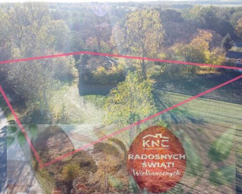 Siedlisko (działka 3623 m2) Przyłęk pow. Zwoleń.