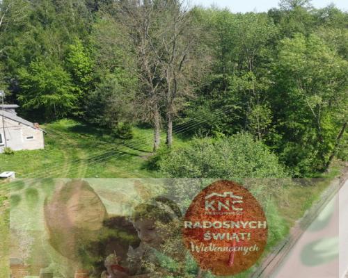 Siedlisko w Tymienicy Nowej gm. Chotcza p/lipski .