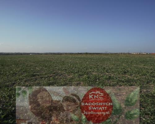 Działka 0,94ha U/MN Wólka gm. Długie pod Lublinem.