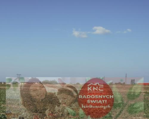 Działka 0,94ha U/MN Wólka gm. Długie pod Lublinem.