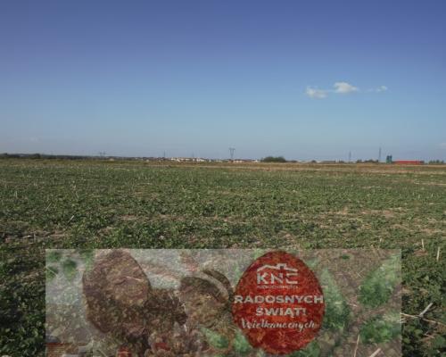 Działka 0,82ha U/MN Wólka gm. Długie pod Lublinem.