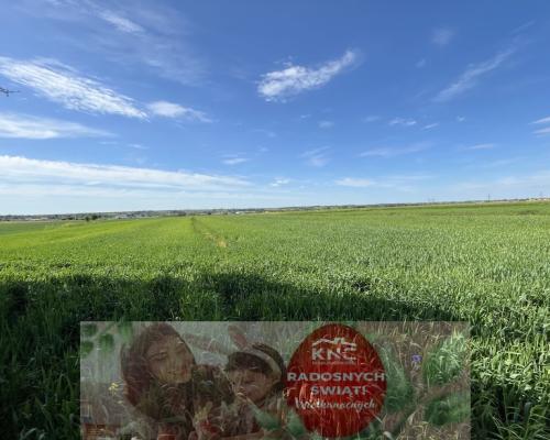 Działka 0,82ha U/MN Wólka gm. Długie pod Lublinem.