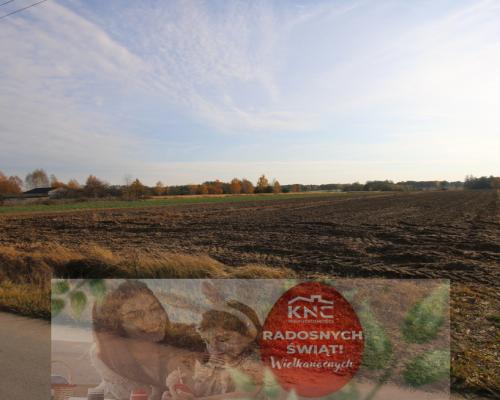Działka rolno budowlana 65ar Sobolew Kol g. Firlej