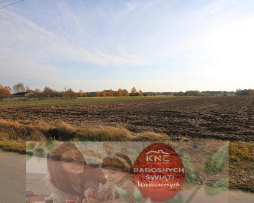 Działka rolno budowlana 65ar Sobolew Kol g. Firlej