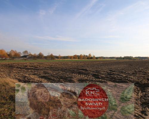 Działka rolno budowlana 65ar Sobolew Kol g. Firlej