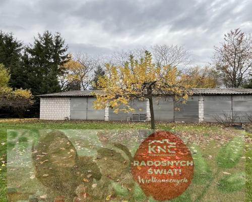 Siedlisko w m. Czarnolas gm. Policzna pow. Zwoleń.