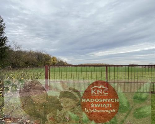 Siedlisko w m. Czarnolas gm. Policzna pow. Zwoleń.