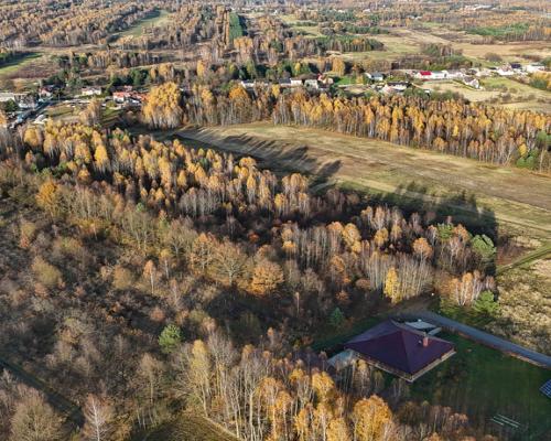 Kolonia Klepaczka, ul. Zielona | Działka