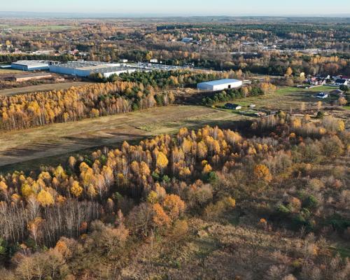 Kolonia Klepaczka, ul. Zielona | Działka