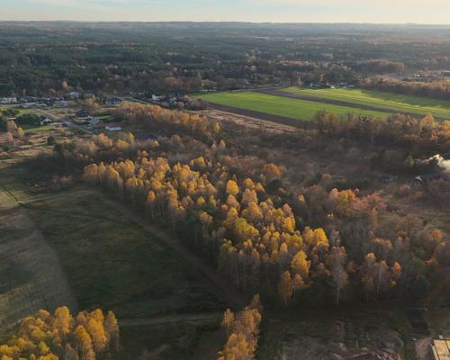 Kolonia Klepaczka, ul. Zielona | Działka