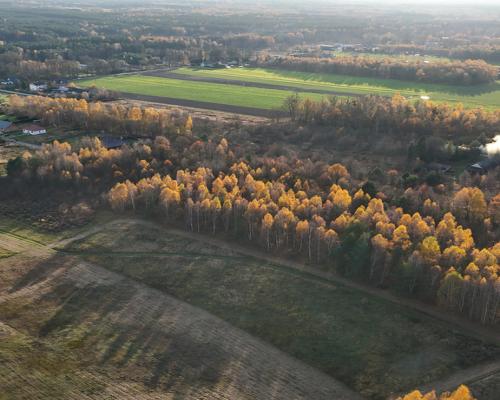 Kolonia Klepaczka, ul. Zielona | Działka