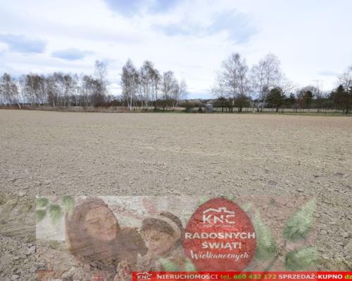 Atrakcyjne działki blisko Lublina i lasu i rzeki.