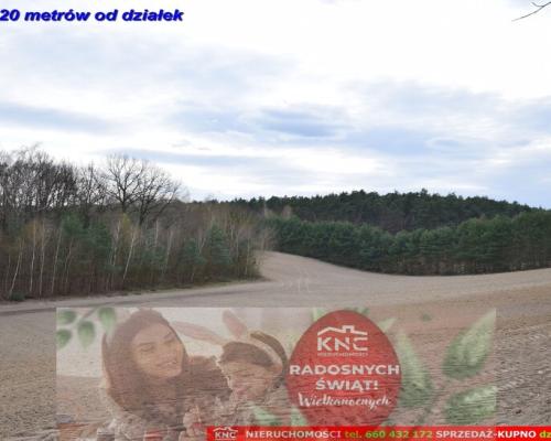 Atrakcyjne działki blisko Lublina i lasu i rzeki.