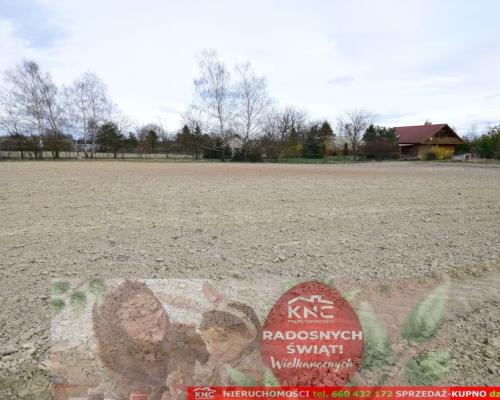 Atrakcyjne działki blisko Lublina i lasu i rzeki.