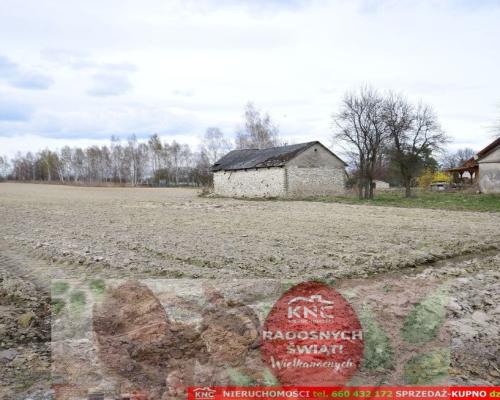 Atrakcyjne działki blisko Lublina i lasu i rzeki.