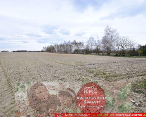 Atrakcyjne działki blisko Lublina i lasu i rzeki.