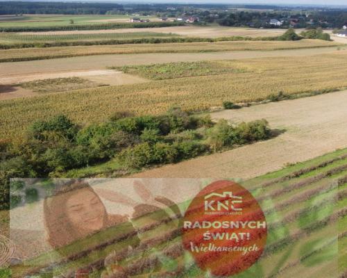 Działka, Motycz, 8.5ar, budownictwo jednorodzinne