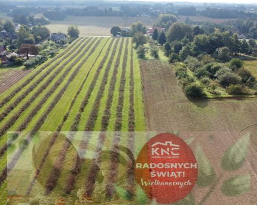 Działka, Motycz, 8.5ar, budownictwo jednorodzinne